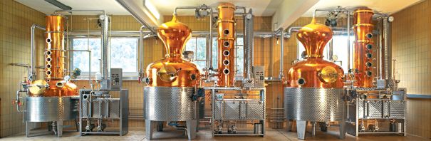 Distillerie Meyer's Producteur Alsacien de Pre en Fils