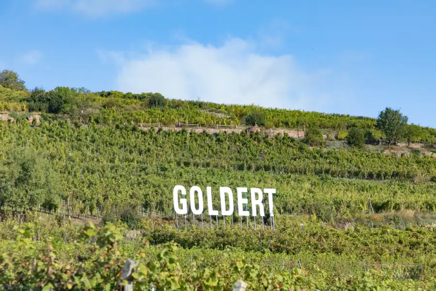 Grand Cru Goldert à Gueberschwihr