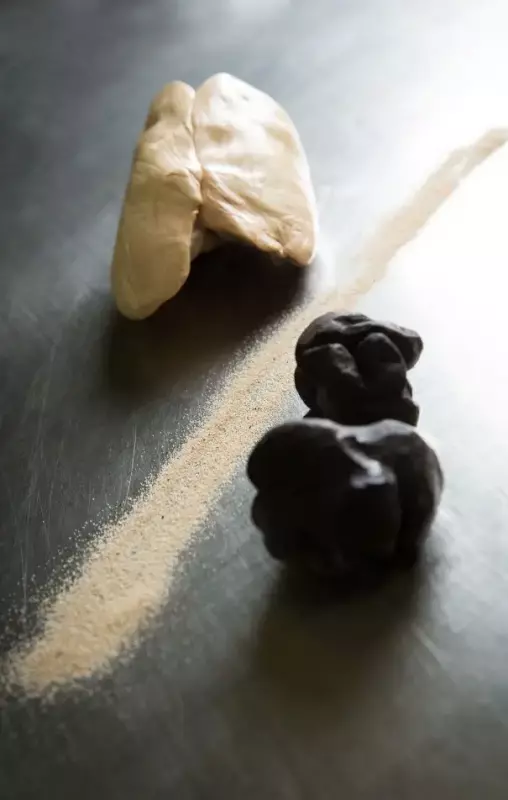 Foie Gras Alsace et Truffe d'&eacute;t&eacute; Georges Bruck