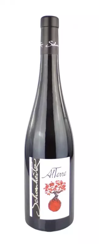 Pinot Noir Rouge Alterre Alsace