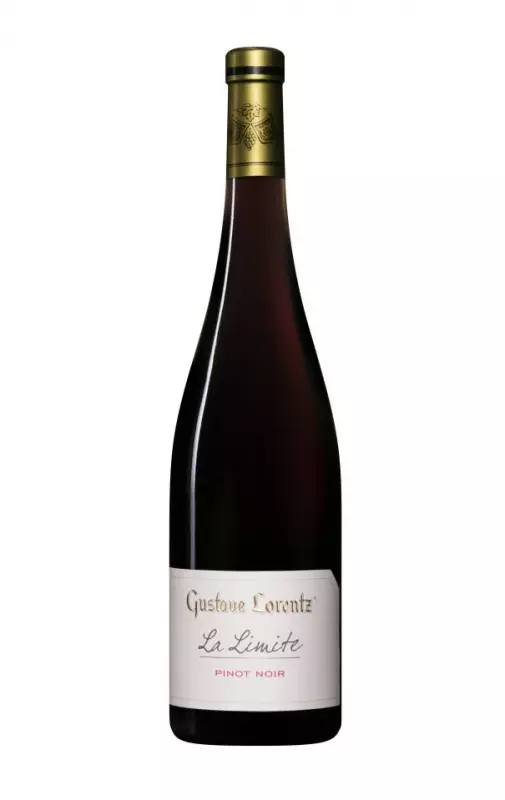 Pinot Noir La Limite Organic Wine