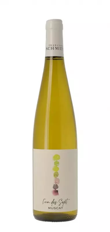 Un Des Sept Muscat Orschwihr Alsace 