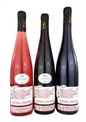Coffret Découverte Vins d'Alsace "Meyer Denis et Filles"