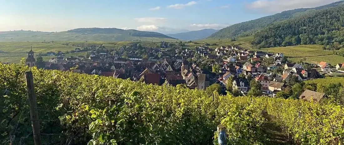 Maison F.E. Trimbach Ambassadeur des Vins d'Alsace