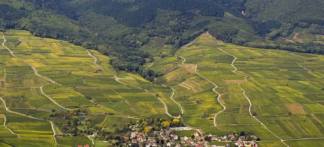 Domaine Kuentz-Bas Grands Vins d'Alsace depuis 1795