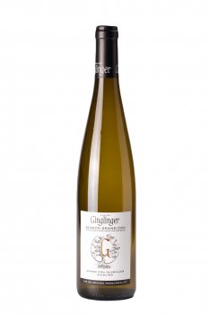 Riesling Alsace Grand Cru Ollwiller