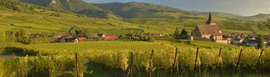 Domaine Sipp-Mack Vins d'Alsace Bio