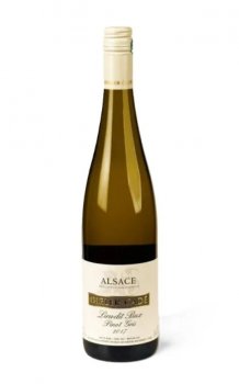 Pinot Gris 2017 Lieu-dit Bux